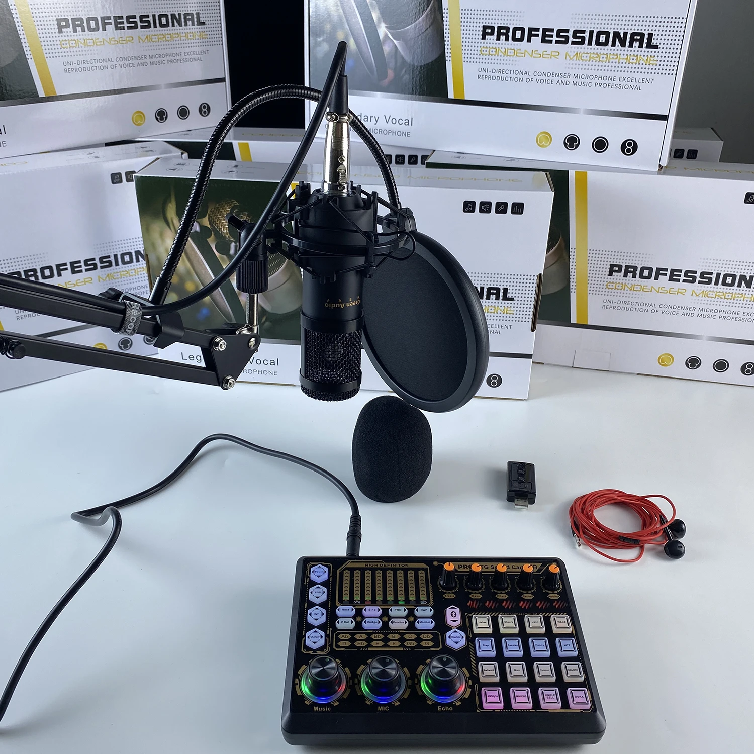 GAM-800R Professional Condenser Microphone for Studio Recording