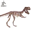 T-rex fossil