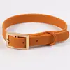 dog collar color 5