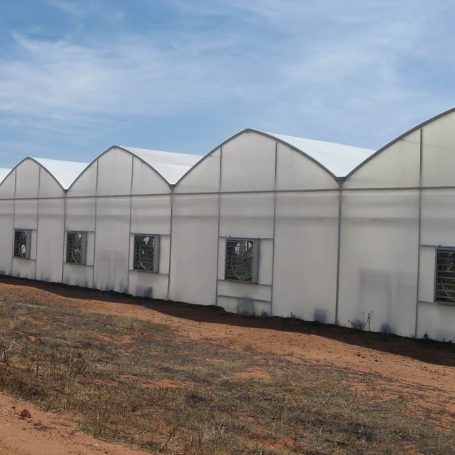 Outdoor Winter Greenhouse