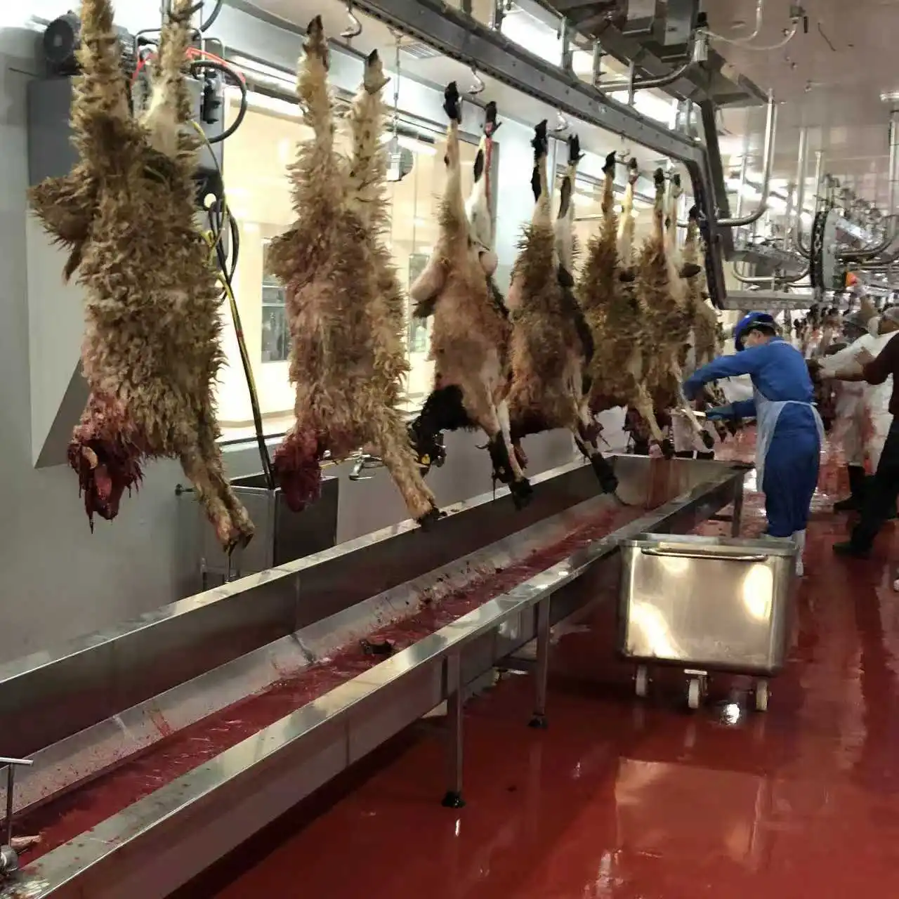 Professional halal sheep slaughtering line equipment for turnkey slaughterhouse project