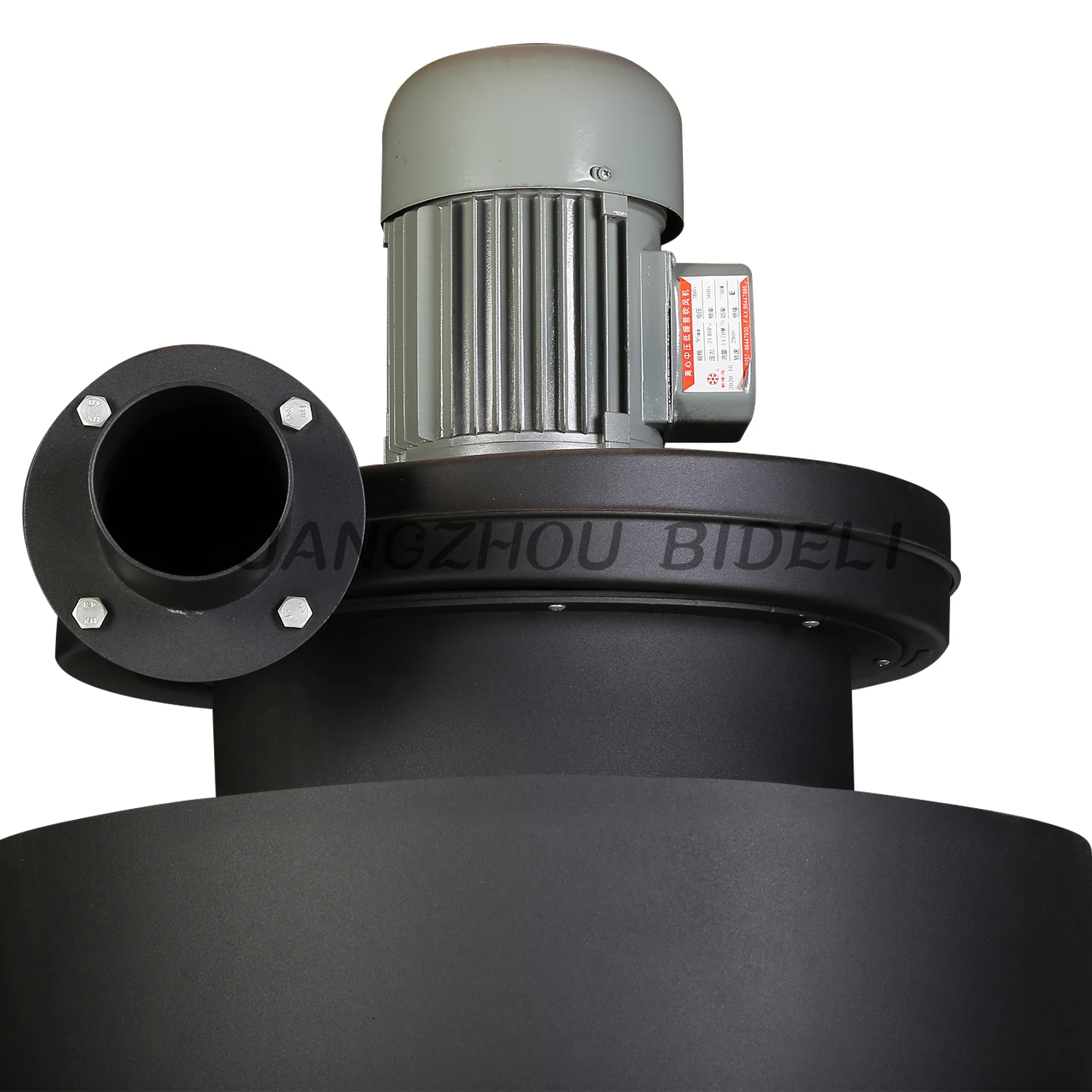 6kg 12kg Per Batch High Quality Big Capacity Industrial Coffee Destoner details