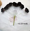 9 teste fiore senza foglie