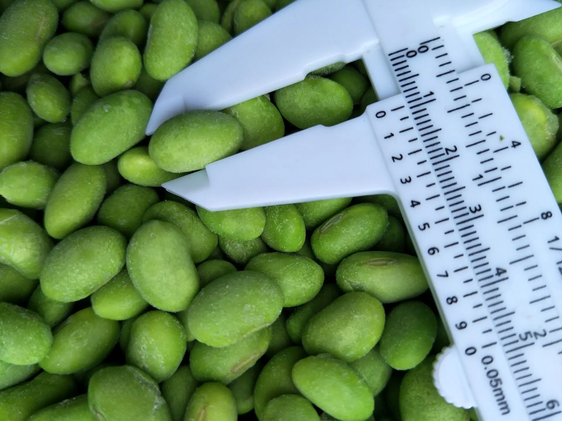 China Supplier High Quality Bulk IQF Frozen Green Edamame Soybean