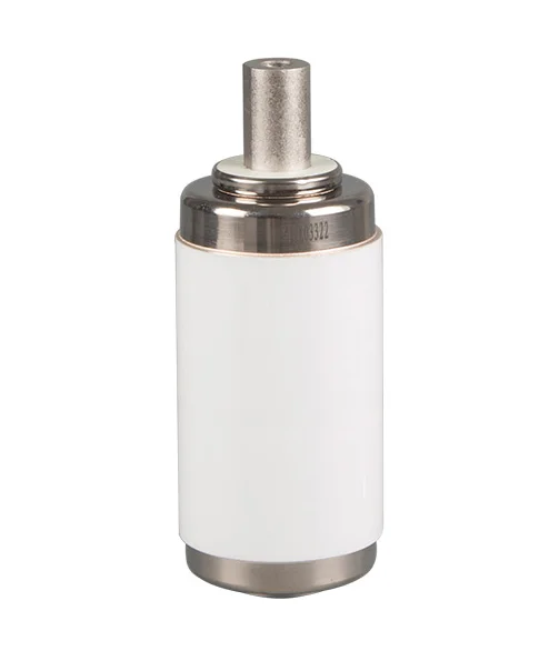 Vacuum Interrupter Embedded Poles for VCB