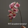 Gradiente Green2