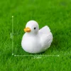 colorful 4 Big white ducks
