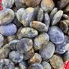 Cianite