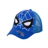 Blue spider  web face