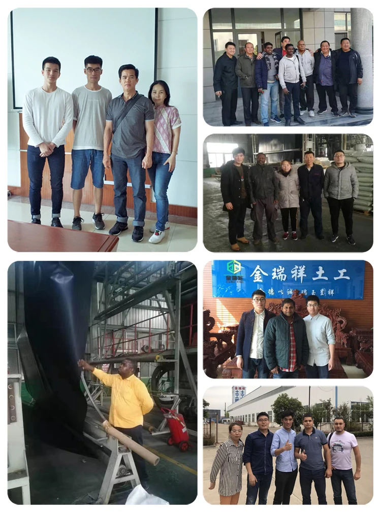 Long life plastic net  geogrid  Construction Materials