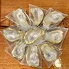 Golden Flat oyster shell 10pcs