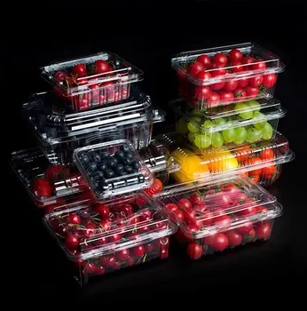 Wholesale Disposable clear plastic food storage box  plastic  packaging for fruit vegetable