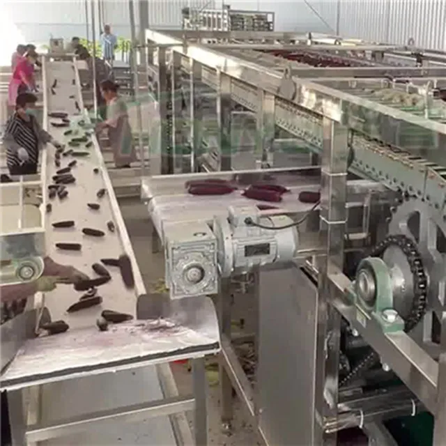 Industrial continuous fresh corn peeling, washing, blanching, air drying, packaging and freezing processing production line