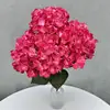 Rosa intenso