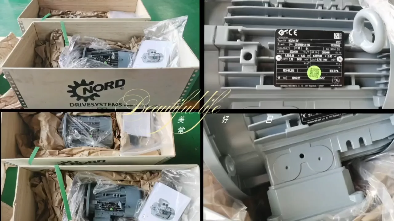 1026000nm Nord Heavy Duty Gear Speed Reducers Gear Units