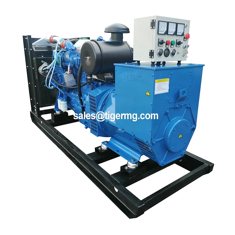 250Kva Single Phase Diesel Generator with Remote Start Air Cooled & Copper Radiator Competitive Price