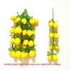 Spiedini di limone
