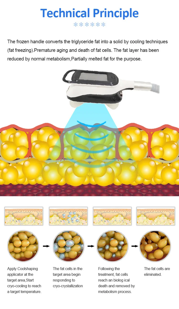 Cryolipolysis Slimming Machine 5 Handles Cryolipolysis And Cavitation Fat Freezing Machine Cryolipolysis