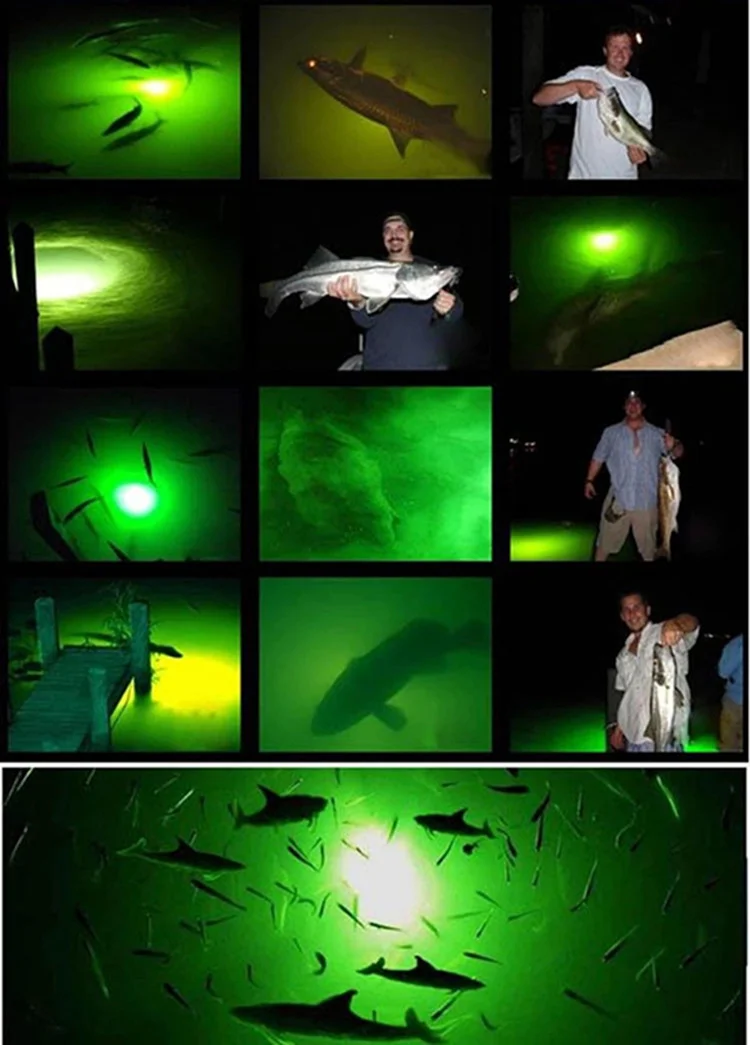 fishing lamp