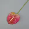 18 rojo rosa