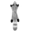 Raccoon grey