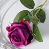 Viola intenso