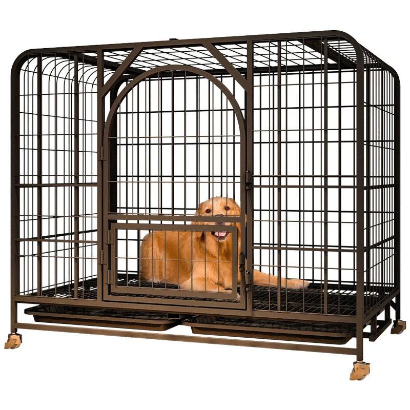 large plastic dog crates