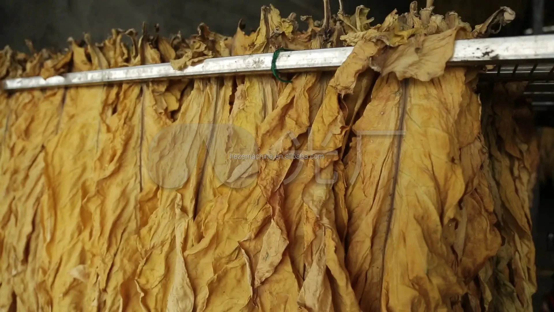 Herb Licorice Root Cutting Slicing Machine Lemon Grass Seaweed Kava Root Cutter Slicer Her Tea Leaf Shredding Machine