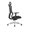 Oficina chairs4