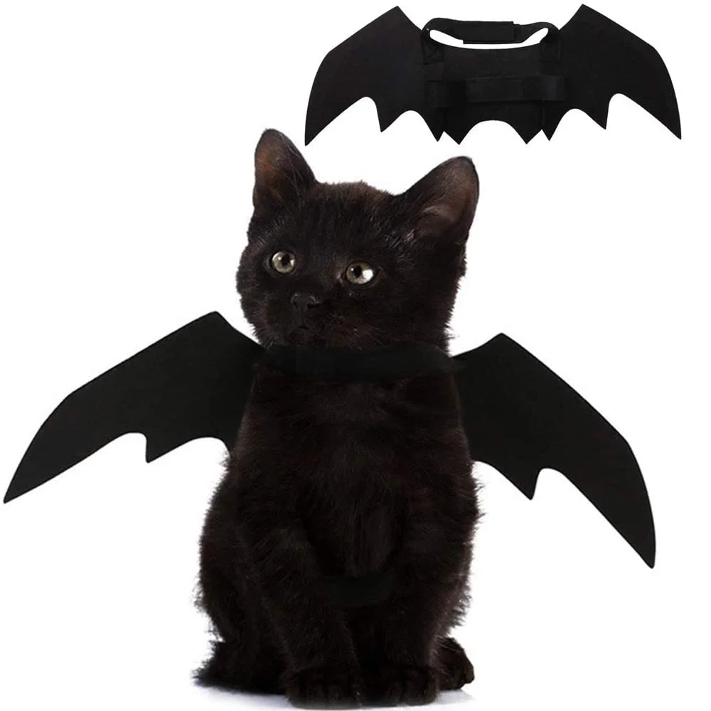 Pet Cat Bat Wings - Buy Pet Clothes,Cat Clothes,Pet Product on 