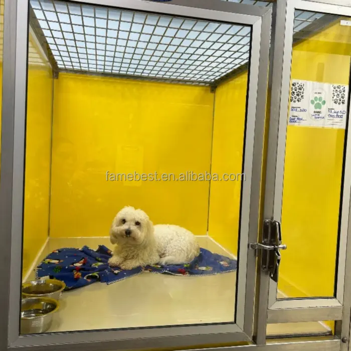 Tempered Glass Dog Kennel Runs Double Decker Kennel