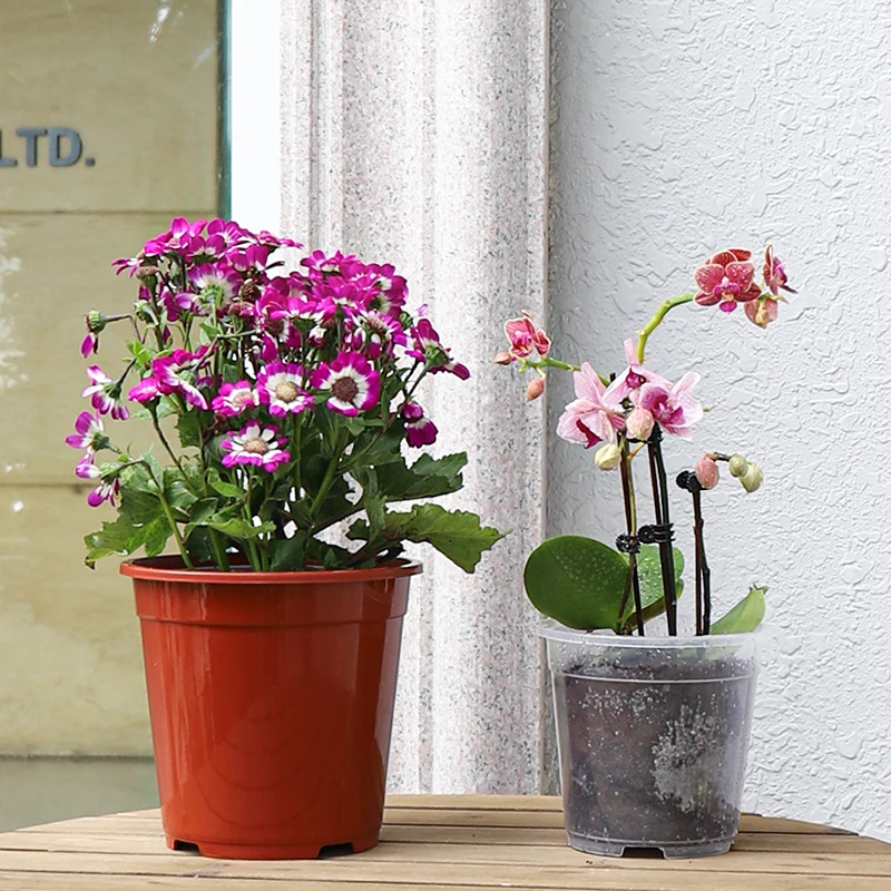 尺八 蝴蝶宝 高級花林 六孔 一尺八寸管