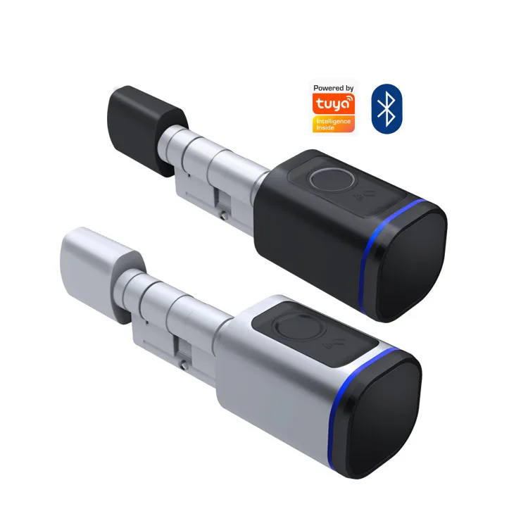 Smart Home Remote Control Intelligent IC Card Keyless Fingerprint Smart Door Lock