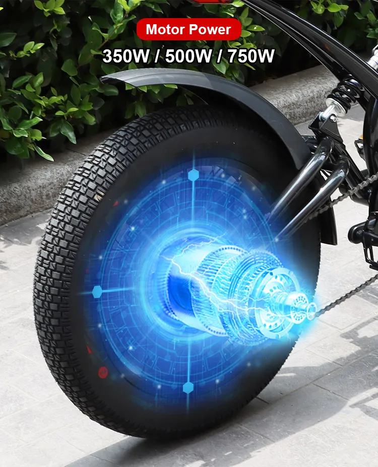 Professional Disc Brake 20inch Electric Bicycle Fat Tire Bike 750w Adult Electric Mountain Bike