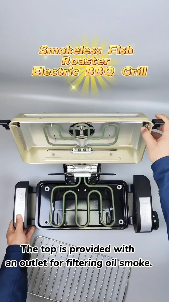 Roaster Bbq Electric Grilled Fish Oven Buy Electric Grill Oven,Grill
