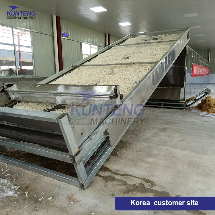 Continuous Mesh Belt Dehydrator Cassava Peanut Tomato Sweet Potato Ginger Slice Dryer Drying Machine