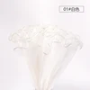 1-สีขาว
