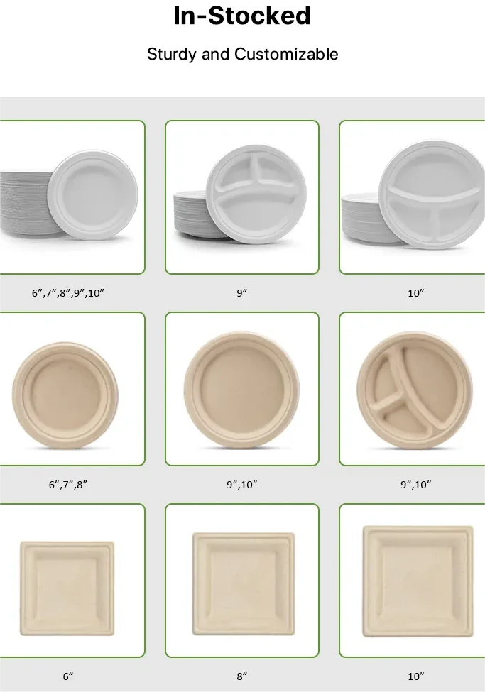 Disposable Tray Eco Friendly Microwavable Dish For Restaurant