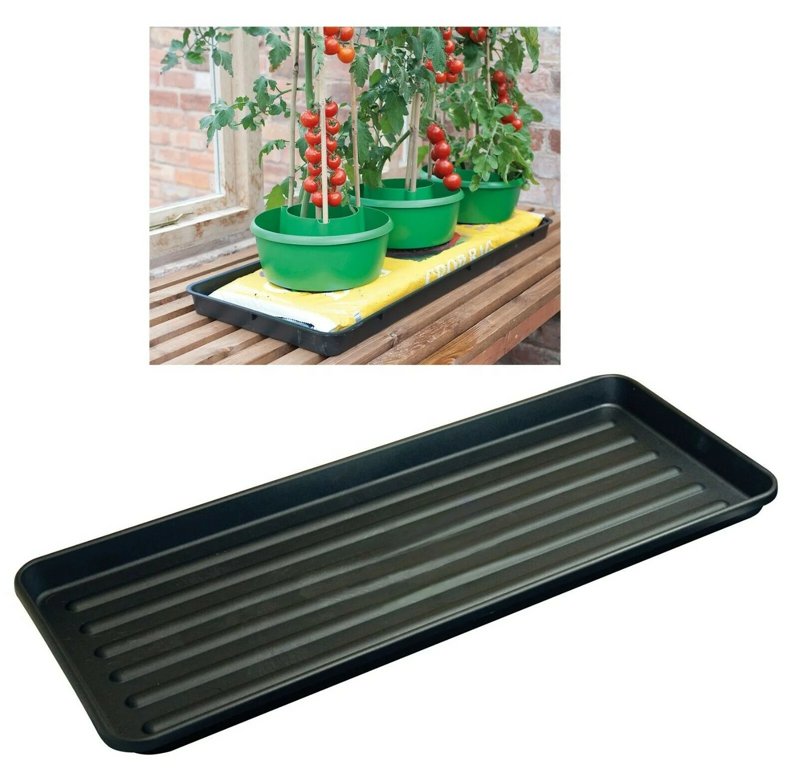 Tomaten-Anzuchttpfe Pflanz-Halos Garten-Pflanzgefe Selbstbewssernde  Tomaten-Tpfe Tomaten-Anbau Plastik-Pflanztpfe Pflanzzubehr