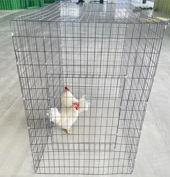 folding cage for gamefowl