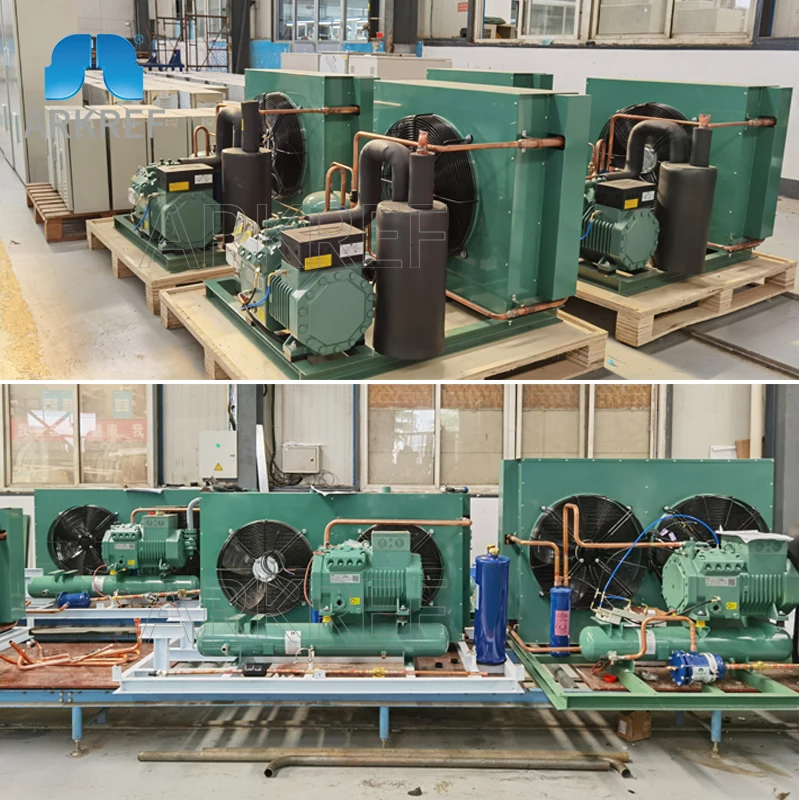 Arkref Cold Room Cold Storage High Performance Two Stage Bitzer Compressor Air Cooled Condensing Unit