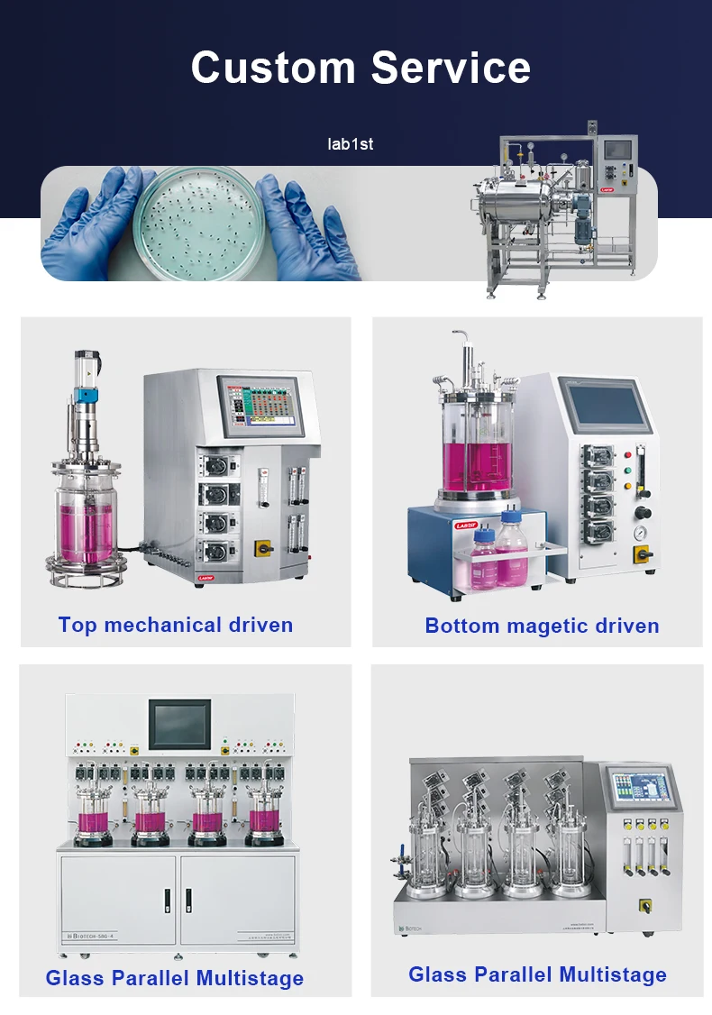 Microscale Bioreactor Micro Algae Cultivation Bioreactor - Industrial Scale