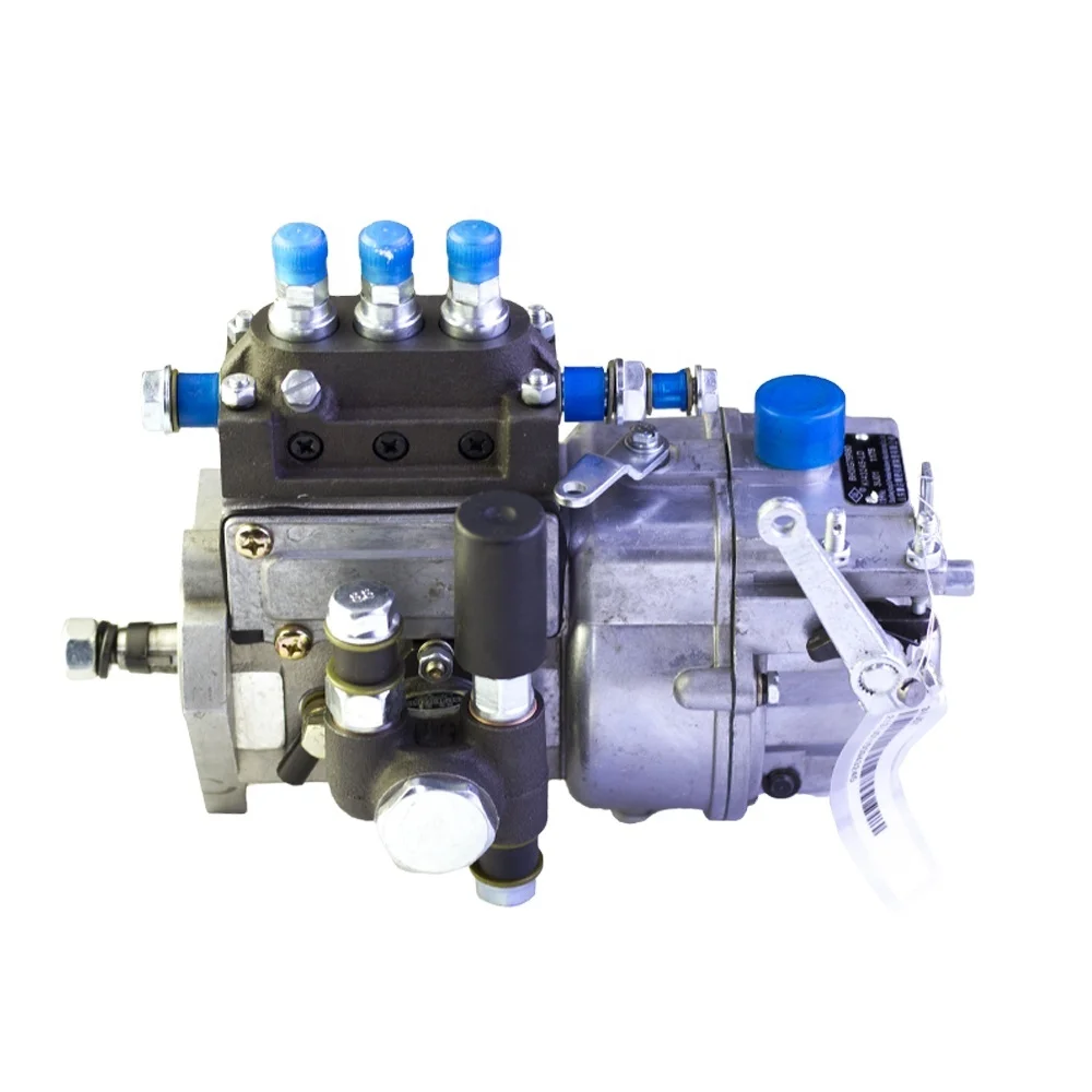 Bh31g75r80 Fuel Injection Pump Assembly for Laidong LD KM385bt 390Bt 4L22bt 4L23bt Diesel Engine Df-244 Tractor Spare Parts