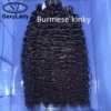 Kinky Birmano