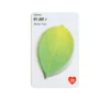 verde 2