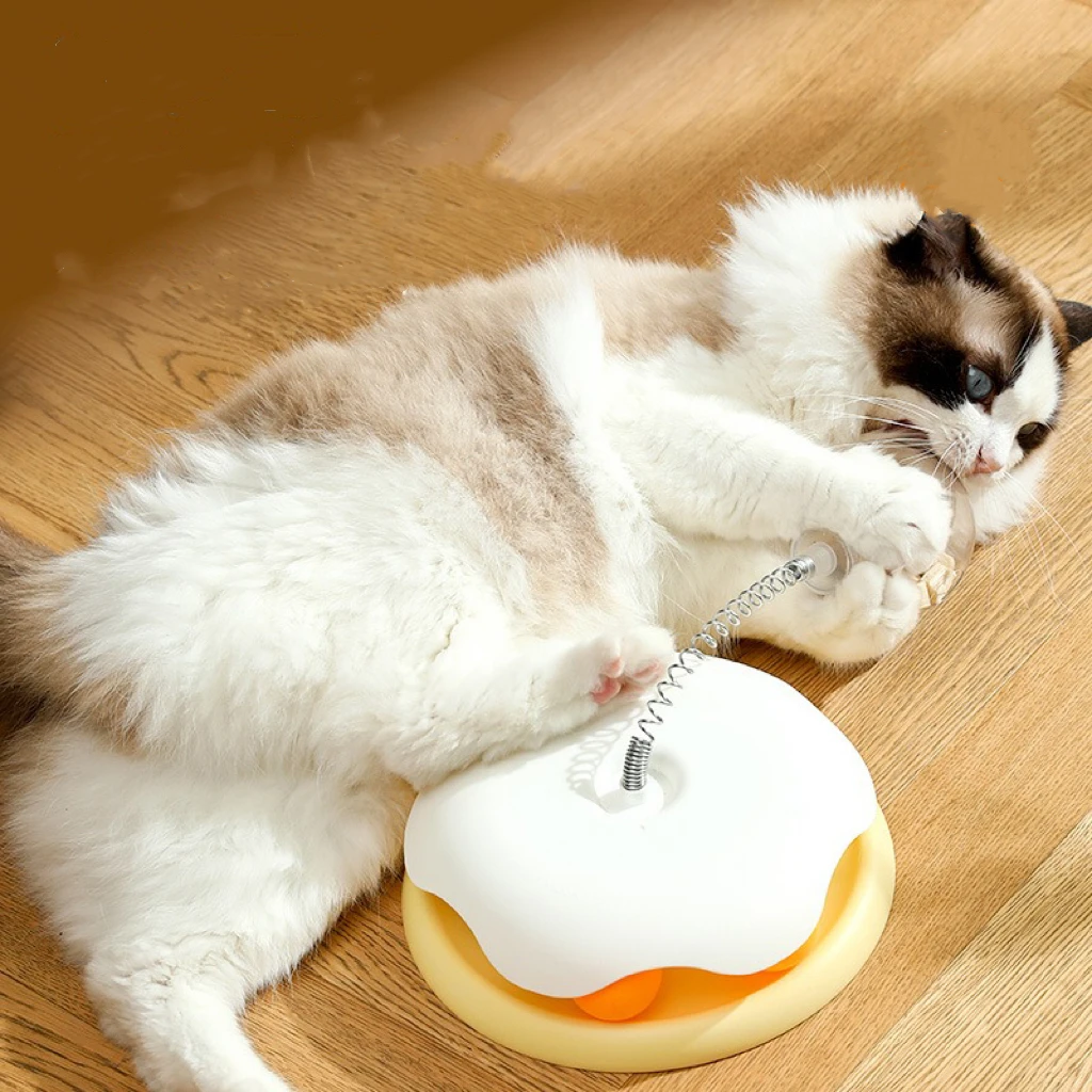 Cat Food Toy Interactive Toys For Indoor Cats Double 2layer Circle