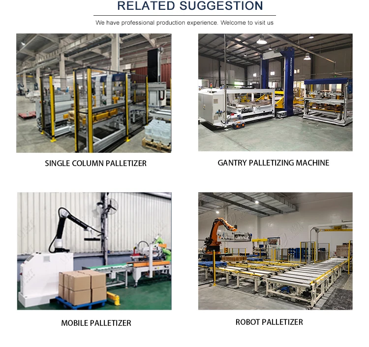 Alibaba.com: LWT Automatic Carton Bag Palletizer Machine, High Rack ...