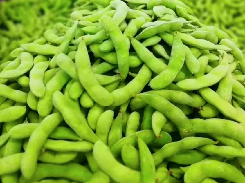 Bulk Cooking Soybeans Frozen Edamame Shelled In Pods Iqf Freezing Edamame Costco Factory Price