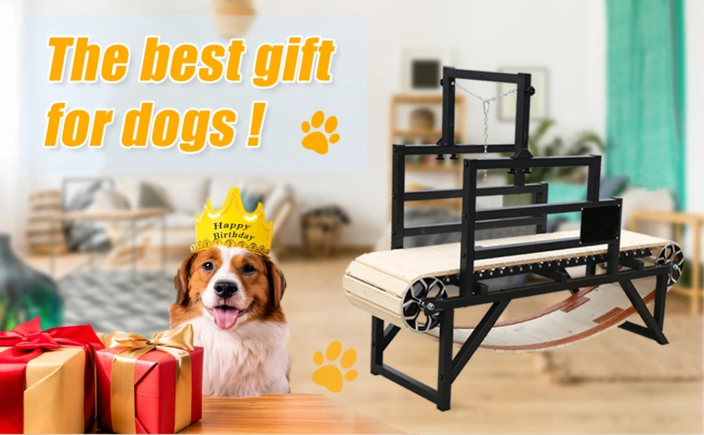 Alipetsmile Dog Treadmill Pit Bull Running Machine Slatmill for Dogs