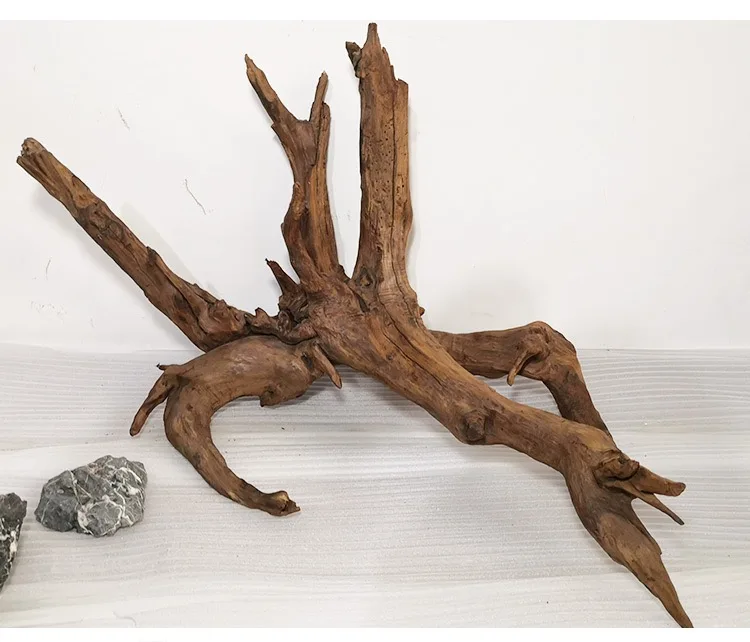 受注品：流木 Amazon | 形状お任せ 煮込み済み 上質流木 雅～みやび～ Sサイズ（約